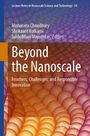 Beyond the Nanoscale, Buch