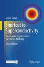 Buchtitel: "Shortcut to Superconductivity". Autor: Armen Gulian. Ein wissenschaftliches Diagramm auf blauem Hintergrund.