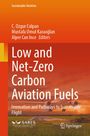 Buchtitel: "Low and Net-Zero Carbon Aviation Fuels". Orange Farbverlauf, Bild von startendem Flugzeug bei Sonnenuntergang.