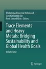 Titel: "Trace Elements and Heavy Metals: Bridging Sustainability and Global Health Goals", Herausgeber und Springer-Logo.