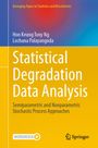 Titel: "Statistical Degradation Data Analysis". Autoren: Hon Keung Tony Ng, Lochana Palayangoda. Springer-Logo unten. Farben: Blau, Gelb.