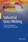 Titel: "Industrial Glass Melting". Autor: Manoj K. Choudhary. Mathematische Formel. Verlag: Springer-Logo. Farben: Orange und Blau.