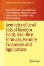 Celine Delmas: Geometry of Level Sets of Random Fields, Kac-Rice Formulas, Hermite Expansions and Applications, Buch