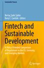 Titel: "Fintech and Sustainable Development." Untertitel: Vergleich von Regulierungen in EU, Deutschland und aufstrebenden Märkten. Geometrisches Design in Gelb und Blau.