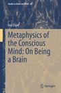 "Metaphysics of the Conscious Mind: On Being a Brain" von Guy Elgat. Abstrakte blaue und beige Muster als Hintergrund.