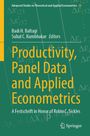 Titel: Productivity, Panel Data and Applied Econometrics. Grün mit mathematischen Formeln. Springer-Logo unten rechts.