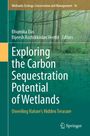 Titel: "Exploring the Carbon Sequestration Potential of Wetlands". Hintergrund: Waldszene mit grünen Bäumen.
