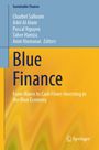 Sustainable Finance. Blue Finance: From Waves to Cash Flows-Investing in the Blue Economy. Charbel Salloum u.a.