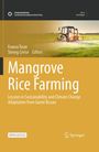 „Springer Nature Sustainable Development Goals Series“. „Mangrove Rice Farming“. Viele Gebäude im Hintergrund.