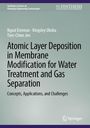 Buchtitel: "Atomic Layer Deposition in Membrane Modification for Water Treatment and Gas Separation". Grau-grüner Hintergrund.
