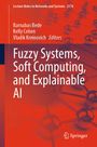 „Fuzzy Systems, Soft Computing, and Explainable AI“ in weiß auf rotem Hintergrund mit Kugeln und Verbindungen.