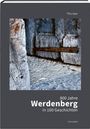 This Isler: 800 Jahre Werdenberg in 100 Geschichten, Buch