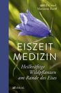 Marianne Ruoff: Eiszeitmedizin, Buch