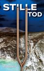 Tanja Alexa Holzer: Stilletod, Buch