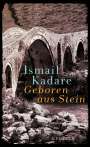 Ismail Kadare: Geboren aus Stein, Buch