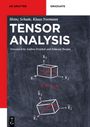 Heinz Schade: Tensor Analysis, Buch