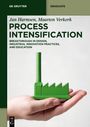 Jan Harmsen: Process Intensification, Buch