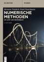 Hermann Friedrich: Numerische Methoden, Buch