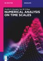 Svetlin G. Georgiev: Numerical Analysis on Time Scales, Buch