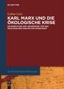 Lukas Lutz: Karl Marx und die ökologische Krise, Buch