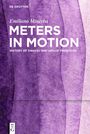 Emiliano Minerba: Meters in Motion, Buch