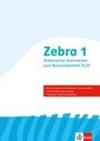 : Zebra 1. Didaktischer Kommentar zum Buchstabenheft Plus Klasse 1, Buch