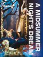 William Shakespeare: A Midsummer Night's Dream, Buch