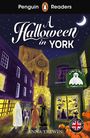 Anna Trewin: A Halloween in York, Buch