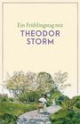 : Ein Frühlingstag mit Theodor Storm, Buch