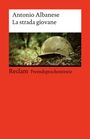"Antonio Albanese, La strada giovane, Reclam Fremdsprachentexte." Ein rostiger Helm liegt auf Waldboden.
