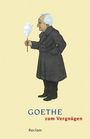 : Goethe zum Vergnügen, Buch