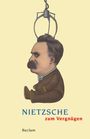 Nietzsche zum Vergnügen, Buch