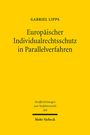 Gabriel Lipps: Europäischer Individualrechtsschutz in Parallelverfahren, Buch