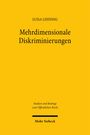 Luisa Lehning: Mehrdimensionale Diskriminierungen, Buch