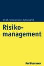 Patrick Ulrich: Risikomanagement, Buch