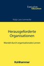 Katja Lass-Lennecke: Herausgeforderte Organisationen, Buch