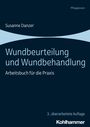 Susanne Danzer: Wundbeurteilung und Wundbehandlung, Buch