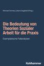 : Die Bedeutung von Theorien Sozialer Arbeit für die Praxis, Buch