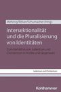: Intersektionalität und die Pluralisierung von Identitäten, Buch