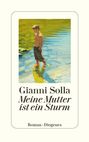 "Gianni Solla: Meine Mutter ist ein Sturm. Roman, Diogenes." Ein Junge steht in flachem Wasser, gemalt in warmen Farben.