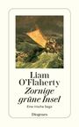 Liam O'Flaherty: Zornige grüne Insel, Buch