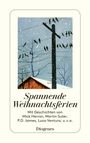 : Spannende Weihnachtsferien, Buch