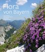 : Flora von Bayern, Buch