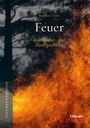 Stephen J. Pyne: Feuer, Buch
