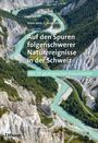 Walter Wildi: Auf den Spuren folgenschwerer Naturereignisse in der Schweiz, Buch