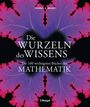 Text: "Die Wurzeln des Wissens. Die 100 wichtigsten Bücher der Mathematik. Thomas K. Briggs. Haupt." Mit Fraktalen verziert.
