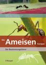 Claude Lebas: Die Ameisen Europas, Buch