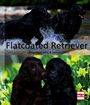 Rosemarie Wild: Flatcoated Retriever, Buch