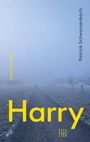 Patrick Schwarzenbach: Harry, Buch
