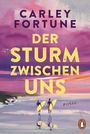 Titel: "Der Sturm zwischen uns" von Carley Fortune; Zwei Personen mit Surfbrettern am Strand bei Sonnenuntergang.